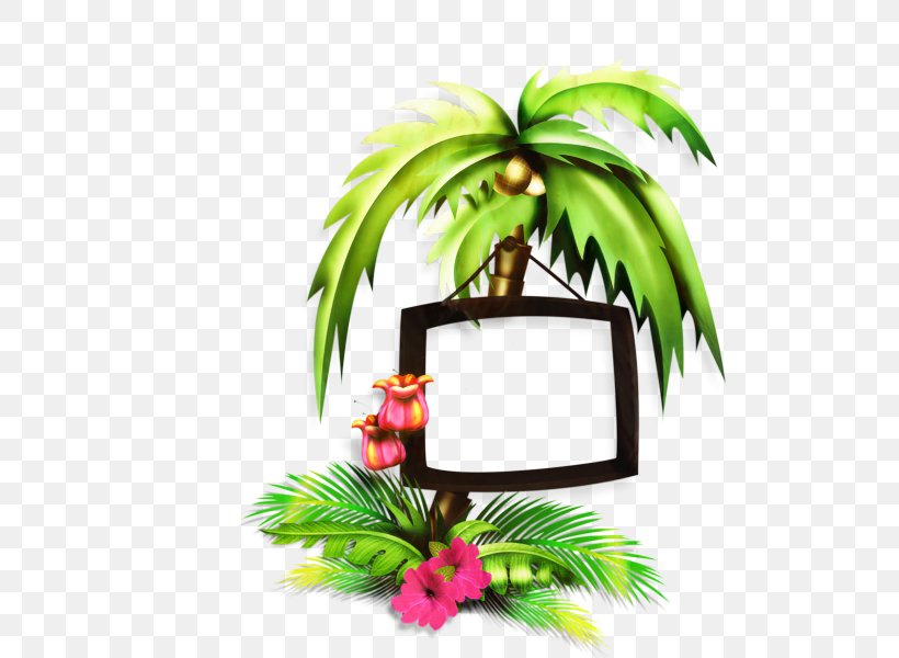Palm Trees Leaf Clip Art, PNG, 600x600px, Palm Trees, Arecales, Branch, Elaeis, Floral Design Download Free