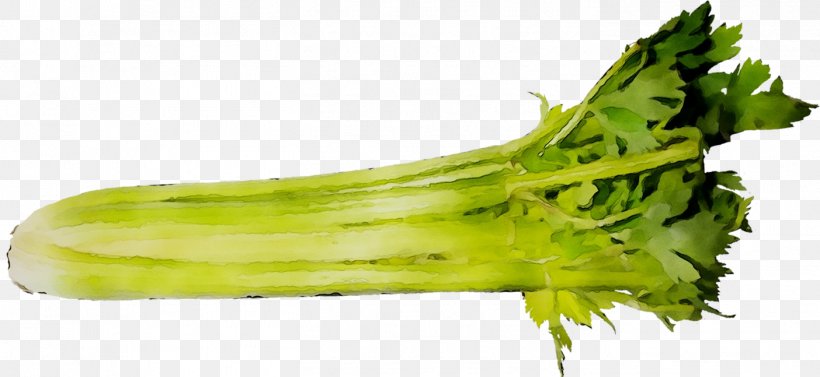 Broccoli Vegetarian Cuisine Rapini Food Celery, PNG, 1404x647px, Broccoli, Celery, Celtuce, Dandelion, Flower Download Free