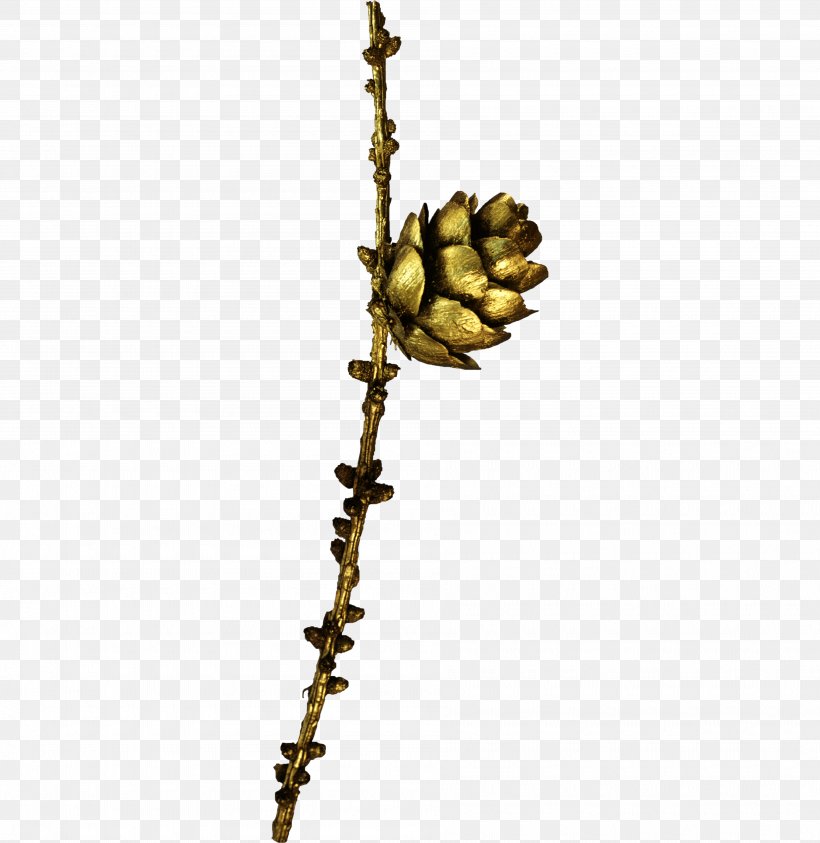 Conifer Cone Clip Art, PNG, 3790x3900px, Conifer Cone, Branch, Cone, Flower, Pine Download Free