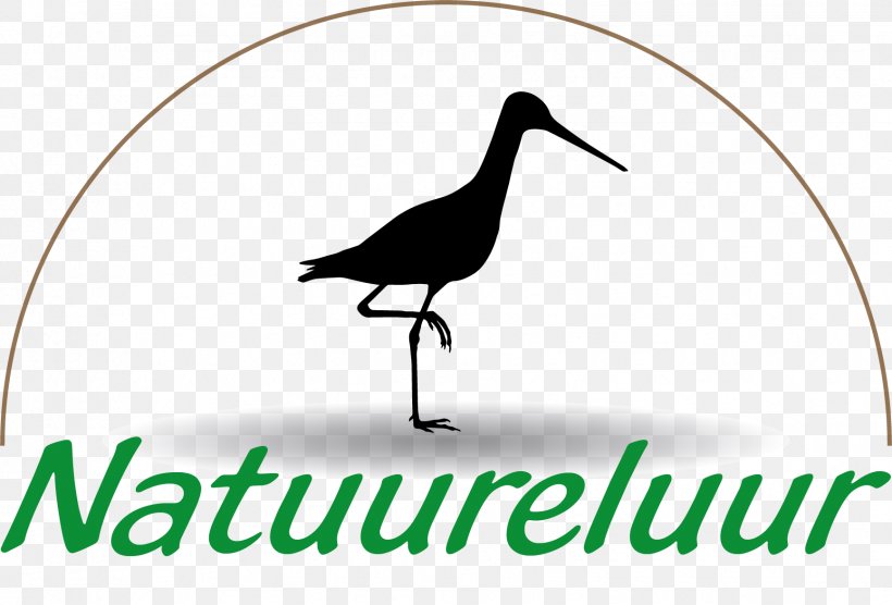 Goose Restaurant De Parlevinker Clip Art Logo Fauna, PNG, 1733x1176px, Goose, Beak, Bird, Brand, Brandm Bv Download Free