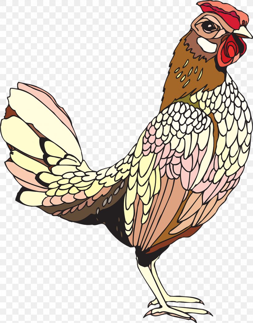 Solid White T-shirt Rooster Hoo Hey How Clip Art, PNG, 1002x1280px, Solid White, Art, Beak, Bird, Chicken Download Free