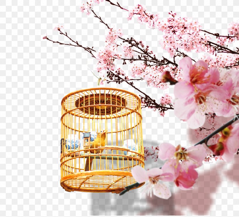 Bird Download Cherry Blossom Computer File, PNG, 1000x905px, Bird, Blossom, Branch, Cage, Cherry Blossom Download Free