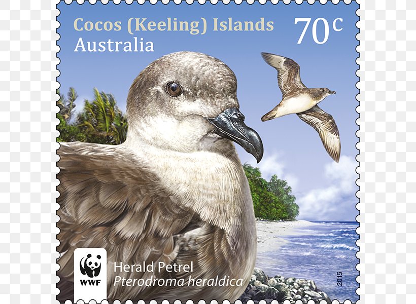 Birds Of Asia And Australia Cocos (Keeling) Islands Australia Post Postage Stamps And Postal History Of Australia, PNG, 800x600px, Cocos Keeling Islands, Australia, Australia Post, Beak, Bird Download Free
