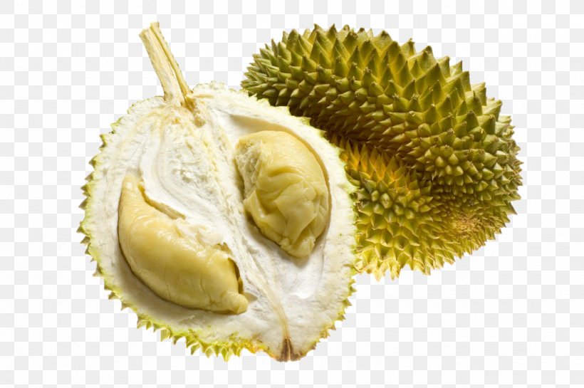 Durian Asian Cuisine Escamol Fruit Food, PNG, 1280x852px, Durian, Apple, Aril, Asian Cuisine, Banana Download Free