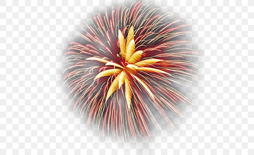 Fireworks, PNG, 500x500px, Fireworks, Color, Drawing, Festival, Firecracker Download Free