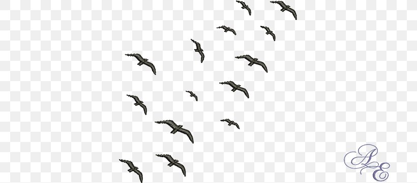 Flocking Bird Migration Swarm Behaviour, PNG, 722x361px, Flock, Animal Migration, Beak, Bird, Bird Flight Download Free