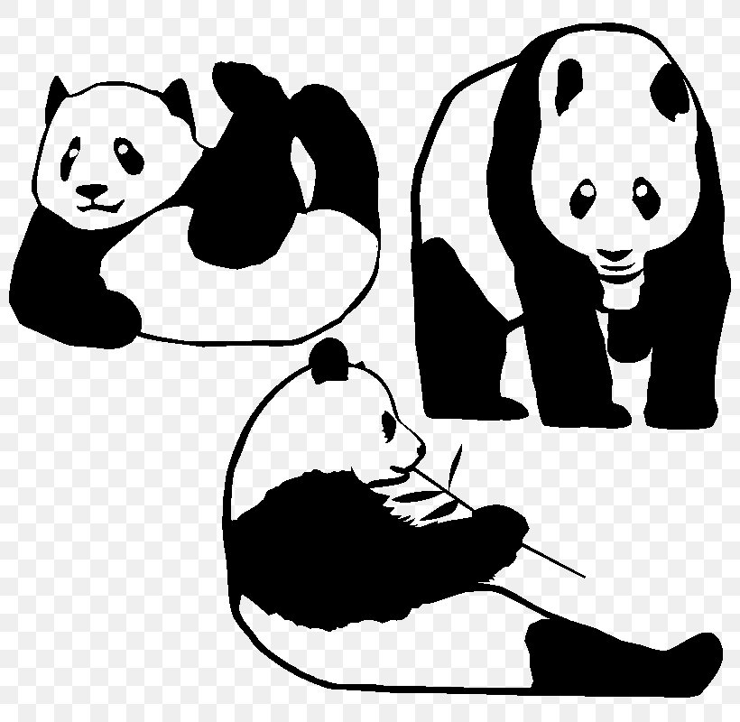 Giant Panda Decal Bumper Sticker Bear, PNG, 800x800px, Giant Panda, Artwork, Bear, Black, Black And White Download Free