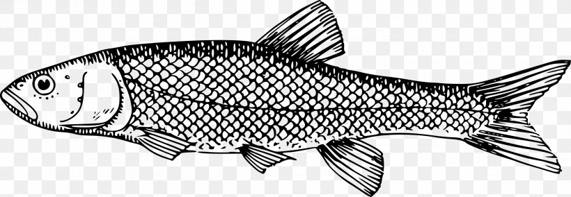 Milkfish Fish Scale Clip Art, PNG, 2400x833px, Milkfish, Animal Figure, Black And White, Carp, Drawing Download Free