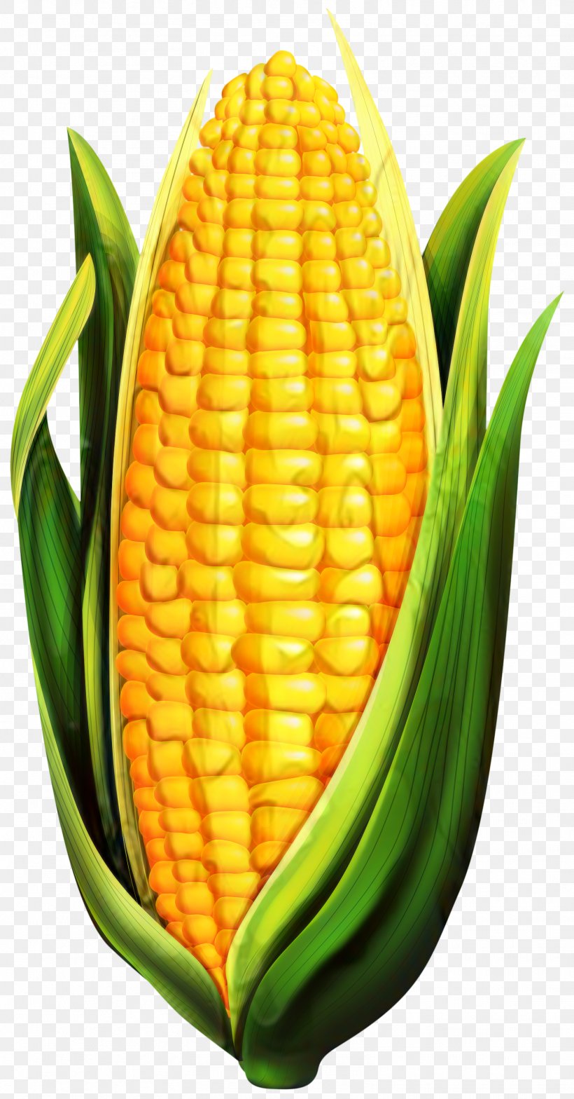 Corn On The Cob Sweet Corn Pineapple Commodity, PNG, 1568x3000px, Corn On The Cob, Commodity, Corn, Corn Kernels, Cuisine Download Free