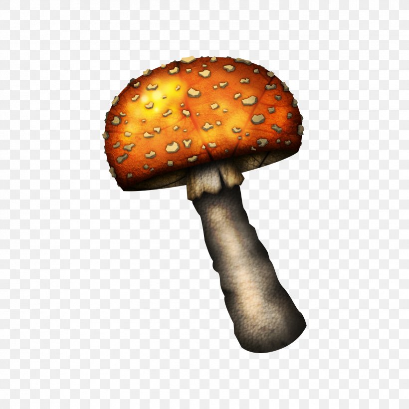 Edible Mushroom Clip Art, PNG, 1698x1698px, Mushroom, Art, Concept Art, Edible Mushroom, Fungus Download Free