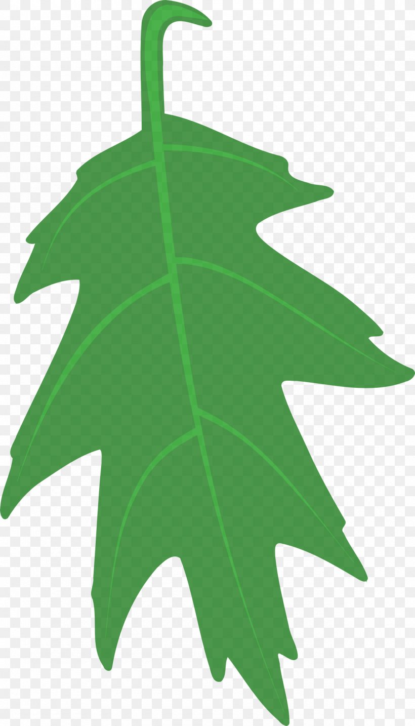 Maple Leaf, PNG, 1280x2239px, Leaf, Black Maple, Green, Holly, Maple Leaf Download Free