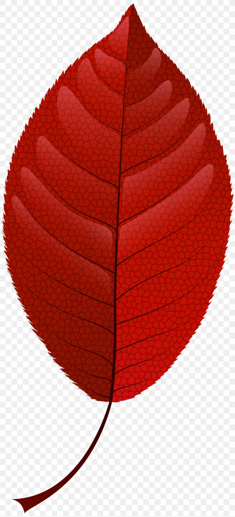 Autumn Leaf Color Red Clip Art, PNG, 3640x8000px, Leaf, Autumn, Autumn Leaf Color, Cap, Drawing Download Free