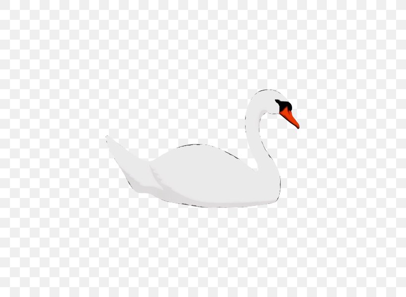 Bird Swan Ducks, Geese And Swans Water Bird Beak, PNG, 600x600px, Watercolor, Beak, Bird, Duck, Ducks Geese And Swans Download Free