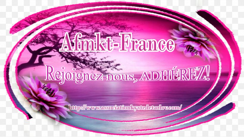 Brand Pink M Font, PNG, 1920x1080px, Brand, Label, Magenta, Pink, Pink M Download Free
