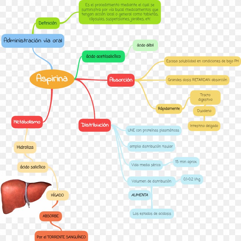 Concept Map Pharmacology Pharmacokinetics Diagram, PNG, 1065x1065px, Concept Map, Area, Aspirin, Brand, Concept Download Free