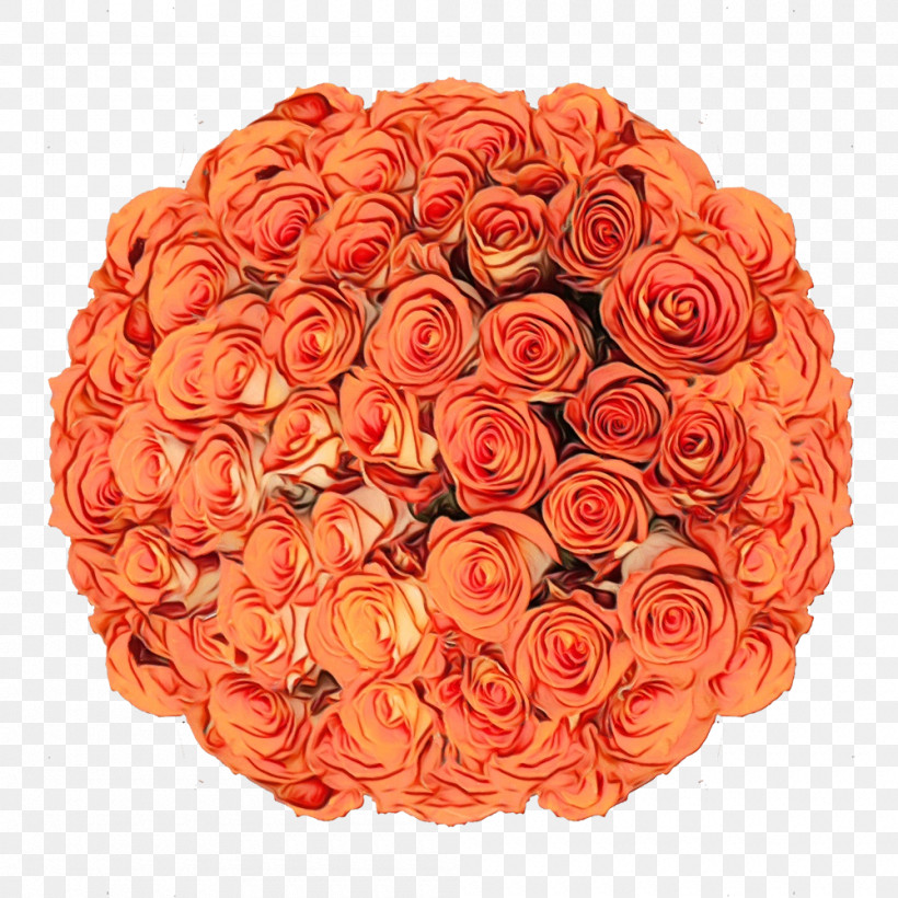 Garden Roses, PNG, 1000x1000px, Watercolor, Artificial Flower, Cut Flowers, Floral Design, Flower Download Free