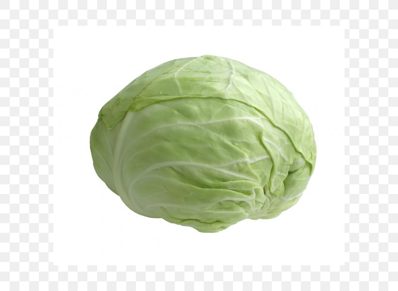 Savoy Cabbage Vegetable Food Cauliflower, PNG, 600x600px, Cabbage, Brussels Sprouts, Cabbage Soup, Cabbage Soup Diet, Cauliflower Download Free