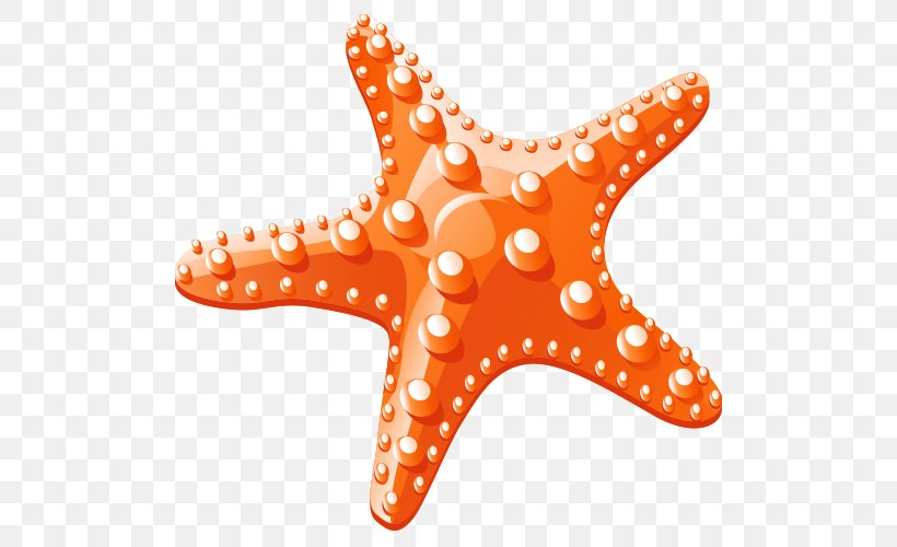Starfish Clip Art, PNG, 500x500px, Starfish, Echinoderm, Invertebrate, Marine Invertebrates, Orange Download Free