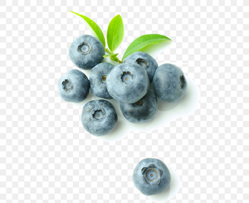 Blueberry Food Refrigerator Bilberry Wine Cooler, PNG, 524x671px, Blueberry, Berry, Bilberry, Blueberry Tea, Chokeberry Download Free