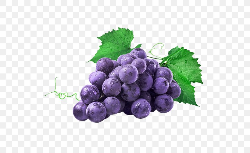 Common Grape Vine Isabella Juice Concord Grape, PNG, 595x500px, Common Grape Vine, Berry, Bilberry, Blueberry, Blueberry Tea Download Free