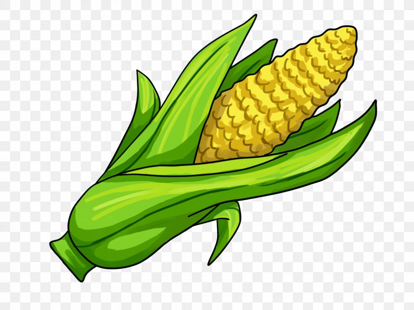 Corn On The Cob Maize Clip Art, PNG, 1600x1200px, Corn On The Cob, Cartoon, Commodity, Food, Fruit Download Free