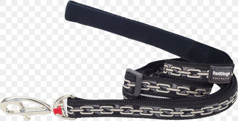 Dingo Dog Collar Puppy Leash, PNG, 3000x1532px, Dingo, Anjing Jepun, Auto Part, Carabiner, Chain Download Free