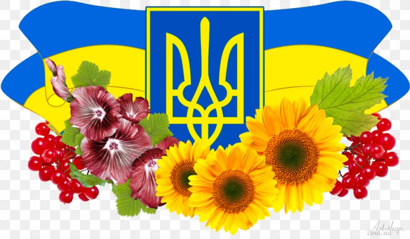 Flag Of Ukraine Coat Of Arms Of Ukraine Государственные символы Украины, PNG, 1024x598px, Flag Of Ukraine, Chrysanths, Coat Of Arms, Coat Of Arms Of Ukraine, Cut Flowers Download Free