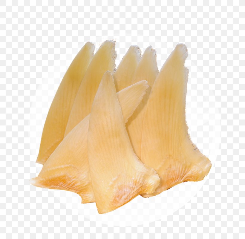 Shark Fin Soup Seafood Fish Fin, PNG, 800x800px, Shark Fin Soup, Abalone, Conch, Fin, Fish Download Free