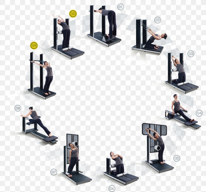 SKYLIFE Fitness GmbH Exercise Vertebral Column Physical Fitness Flexibility, PNG, 1525x1421px, Exercise, Flexibility, Furniture, Hip, Human Back Download Free