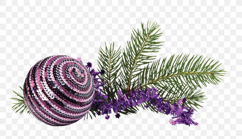 Christmas Day, PNG, 800x470px, Christmas Day, Blog, Branch, Christmas Decoration, Christmas Ornament Download Free