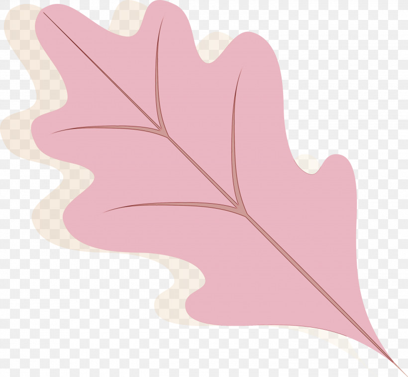 Leaf Tree Plants Science Biology, PNG, 3000x2772px, Autumn Leaf, Autumn Color, Biology, Leaf, Paint Download Free