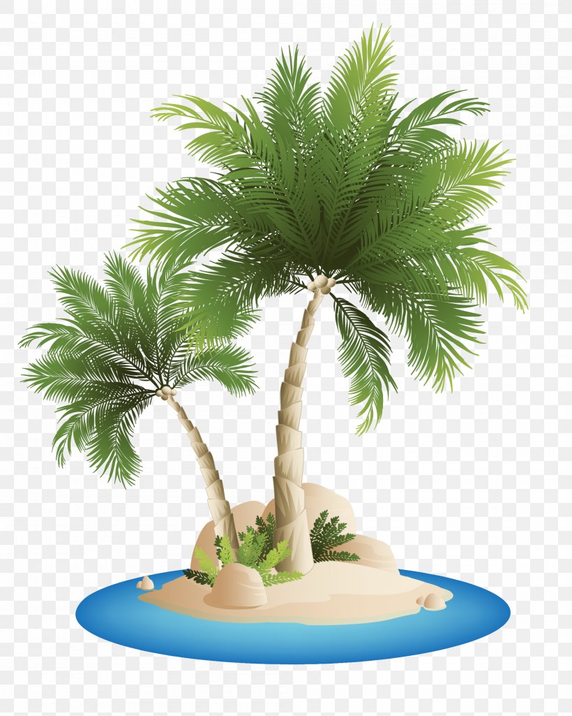 Palm Islands Beach Clip Art, PNG, 2000x2500px, Palm Islands, Arecaceae, Arecales, Beach, Borassus Flabellifer Download Free