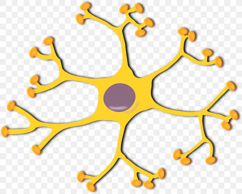 Motor Neuron Interneuron Clip Art, PNG, 1920x1542px, Neuron, Area, Axon, Body Jewelry, Cell Download Free