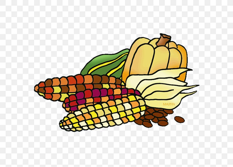 Native American Cuisine Cuisine Of The United States Fruit Succotash Clip Art, PNG, 588x588px, Native American Cuisine, Americans, Artwork, Bean, Commodity Download Free
