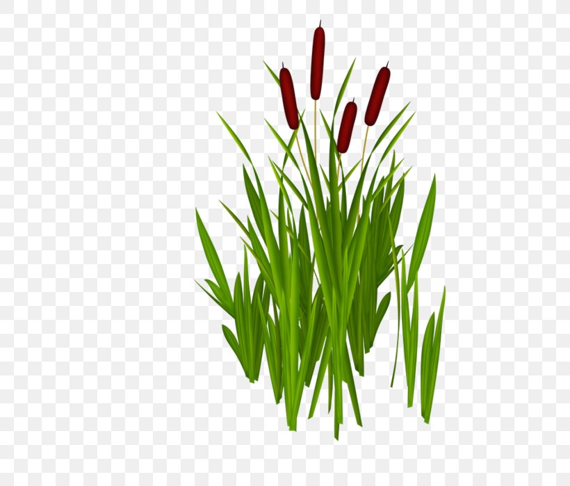 Clip Art The Ugly Duckling Grasses Fairy Tale, PNG, 491x699px, Ugly Duckling, Animated Film, Animation, Fairy Tale, Flower Download Free