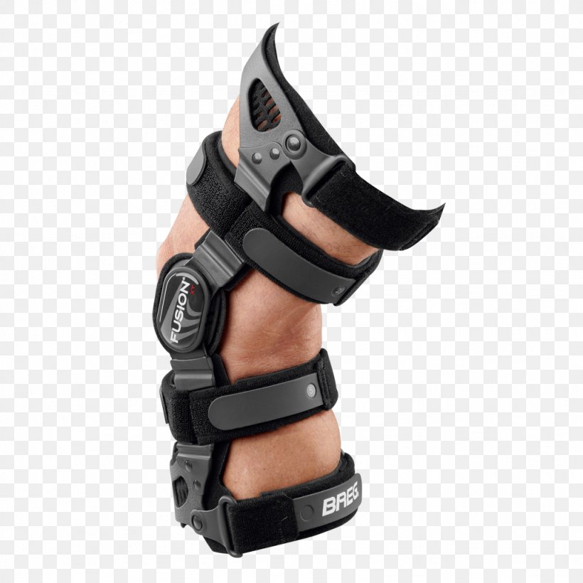 Knee Orthotics Breg, Inc. Posterior Cruciate Ligament, PNG, 1024x1024px, Knee, Ankle, Anterior Cruciate Ligament, Arm, Back Brace Download Free