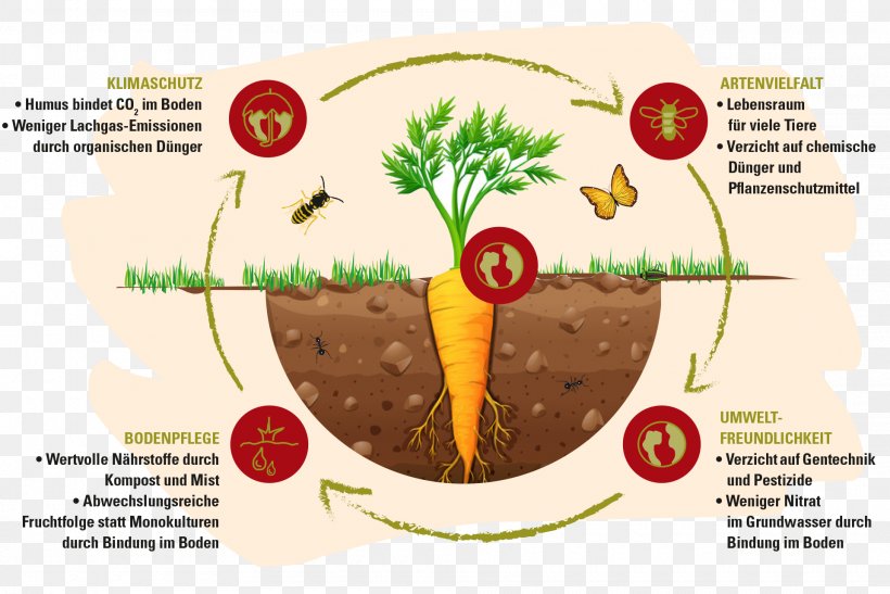 Organic Food Organic Farming Biodynamic Agriculture Crop Rotation, PNG, 1920x1282px, Organic Food, Agriculture, Biodynamic Agriculture, Bioland, Compost Download Free