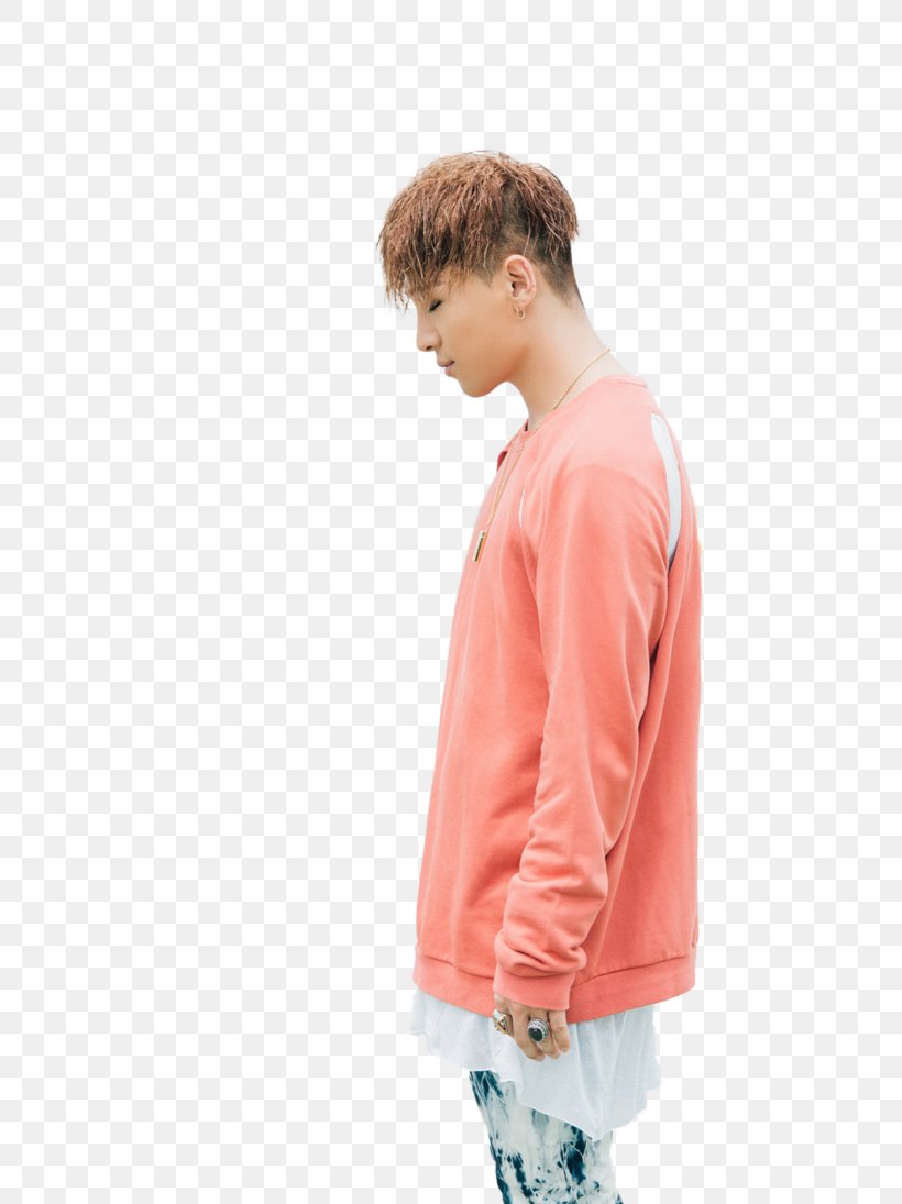 Taeyang BIGBANG K-pop MADE SERIES [D], PNG, 729x1095px, Watercolor, Cartoon, Flower, Frame, Heart Download Free