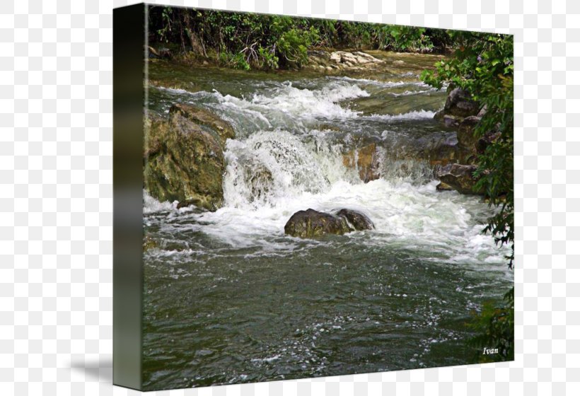 Waterfall Water Resources Nature Reserve Stream Watercourse, PNG, 650x560px, Waterfall, Body Of Water, Chute, Creek, Natural Resource Download Free