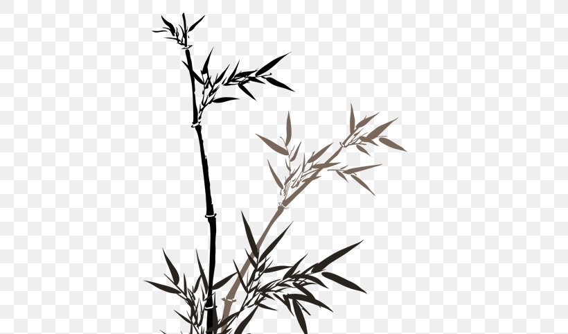 Bamboo Painting Euclidean Vector Bamboe, PNG, 567x482px, Bamboo, Art, Bamboe, Black And White, Branch Download Free