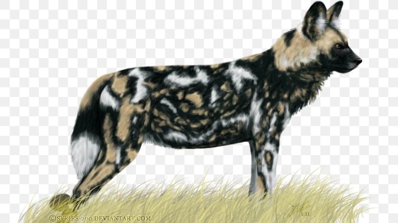 African Wild Dog Dhole Dog Breed Leopard, PNG, 750x460px, African Wild Dog, Art, Breed, Carnivoran, Cross Fox Download Free