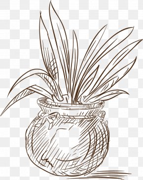 Line Drawing Potted Plant Images Line Drawing Potted Plant Transparent Png Free Download