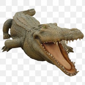Crocodile - Crocodiles Nile Crocodile Alligator Animal PNG