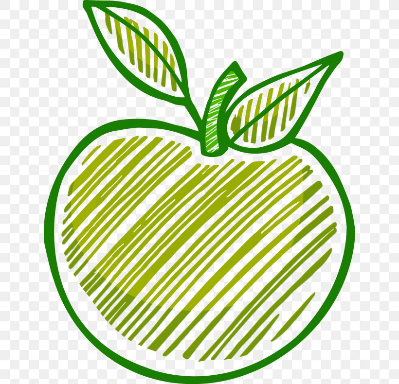 Drawing MacBook Apple Clip Art, PNG, 640x790px, Drawing, Apple, Area, Commodity, Flowering Plant Download Free