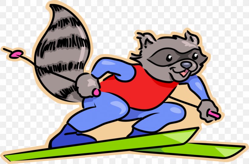 Raccoon Clip Art, PNG, 1063x700px, Raccoon, Alpine Ski, Alpine Skiing, Artwork, Dog Like Mammal Download Free