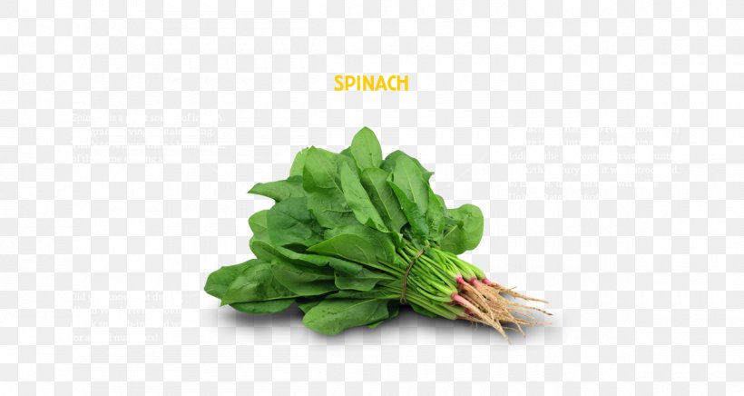 Spinach Greens Vegetable Vegetarian Cuisine Chard, PNG, 1200x639px, Spinach, Broccoli, Chard, Choy Sum, Cooking Download Free