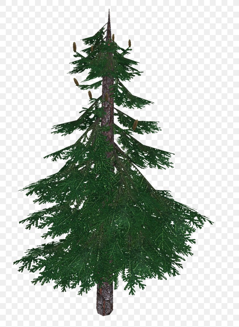 Spruce Fir Larch Pine Christmas Tree, PNG, 766x1122px, Spruce, Branch, Christmas, Christmas Decoration, Christmas Ornament Download Free