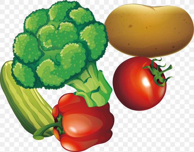 Vegetable Illustration, PNG, 4841x3795px, Vegetable, Bell Pepper, Bell Peppers And Chili Peppers, Broccoli, Diet Food Download Free