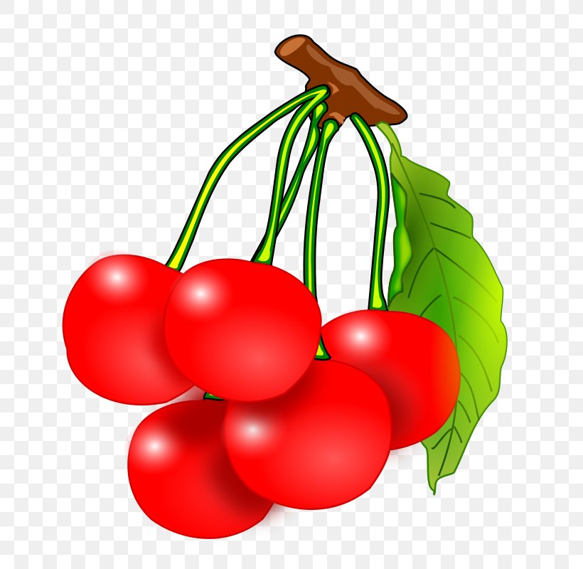 Fruit Clip Art, PNG, 800x800px, Fruit, Apple, Bush Tomato, Cherry, Flowering Plant Download Free