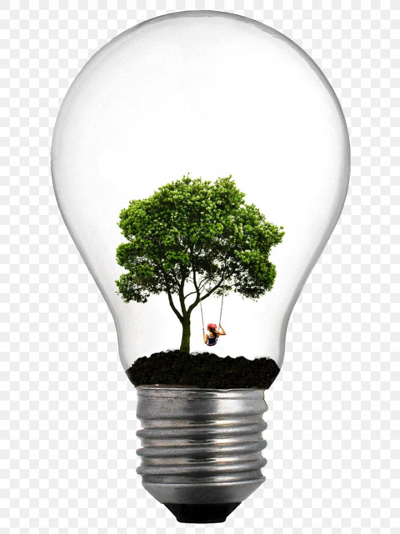 Incandescent Light Bulb Tree Lamp Lighting, PNG, 900x1200px, Light, Christmas Lights, Efficient Energy Use, Electricity, Energy Download Free